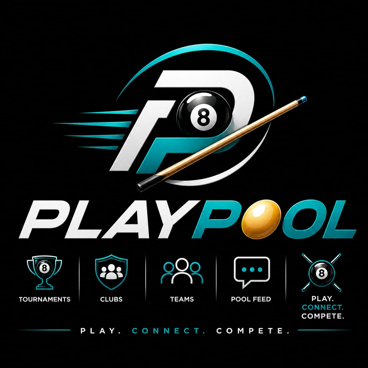 PlayPool Logo